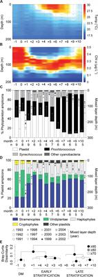 Seasonal and Geographical Transitions in Eukaryotic Phytoplankton Community Structure in the Atlantic and Pacific Oceans